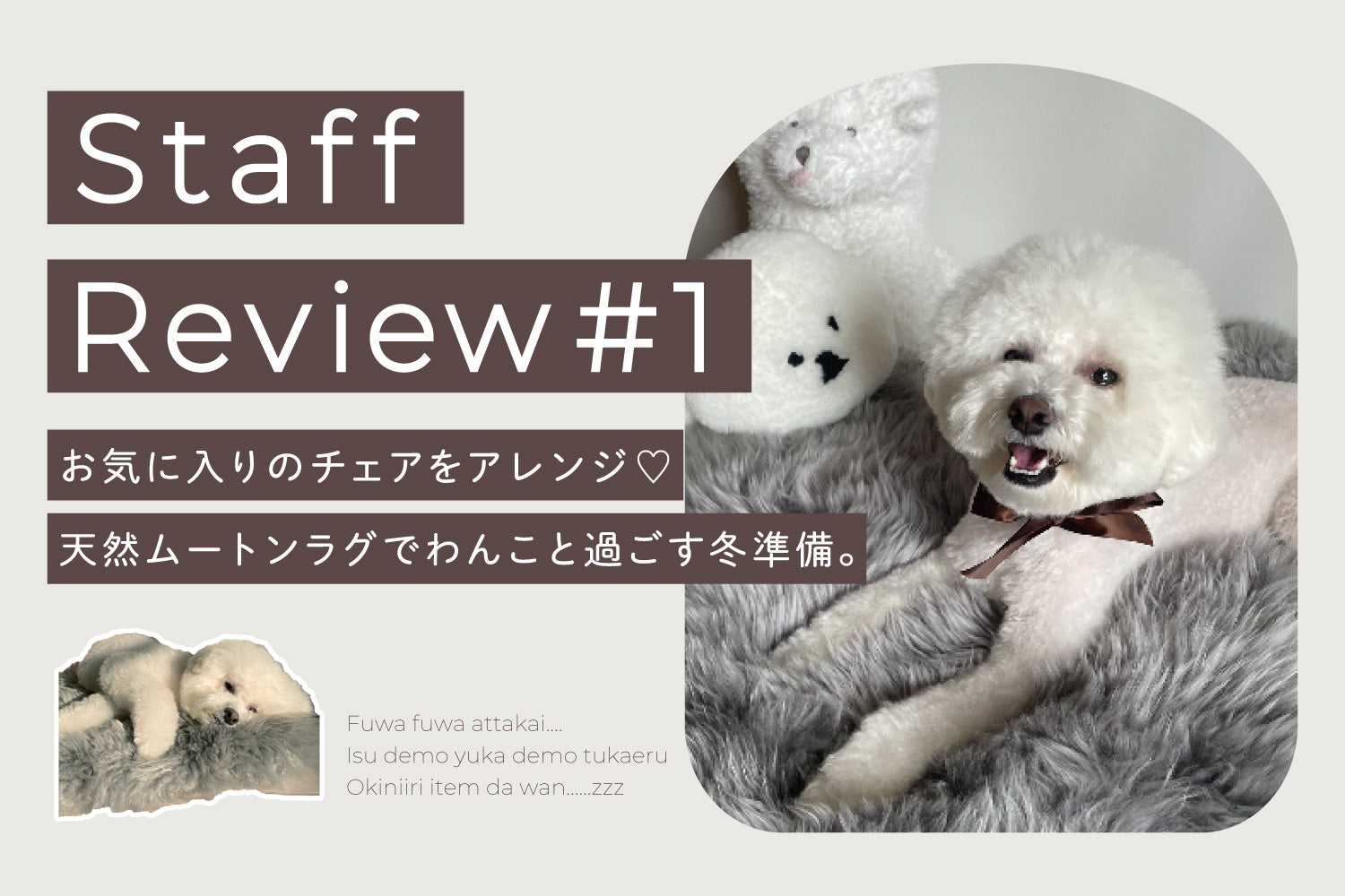 【スタッフレビュー #1】 お気に入りのチェアをアレンジ♡「天然ムートンラグ」でわんこと過ごす冬準備。