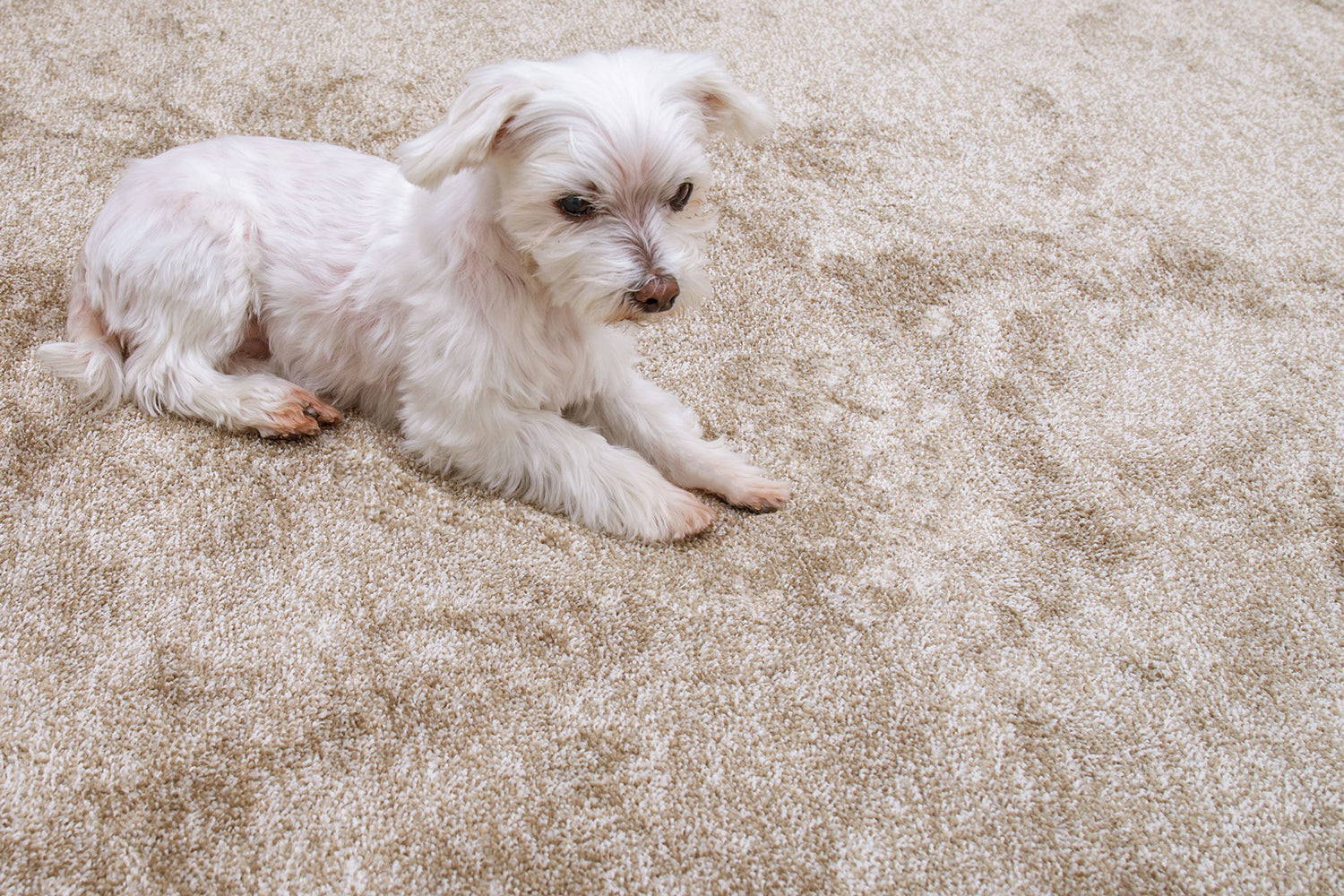 ON's Board Cover Lサイズ 700×240cm ボードカバー ON's BOARD COVER