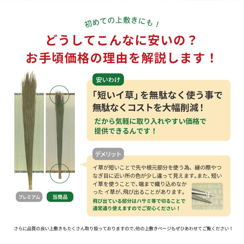 い草上敷き お手頃上敷き 柳川【1畳・2畳・3畳・4畳・4.5畳・6畳・8畳・10畳】【江戸間・本間・団地間・三六間】帖物 リーズナブル 和室 ござ い草カーペット 敷物 ゴザ 傷防止 日焼け防止 畳の保護 畳の上に敷くもの 畳交換 畳替え 表替え
