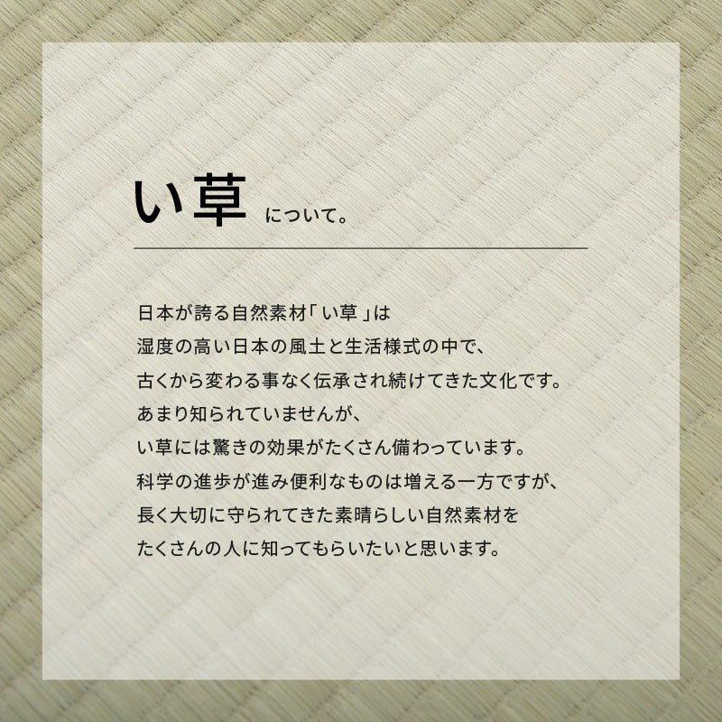 い草上敷き お手頃上敷き 柳川【1畳・2畳・3畳・4畳・4.5畳・6畳・8畳・10畳】【江戸間・本間・団地間・三六間】帖物 リーズナブル 和室 ござ い草カーペット 敷物 ゴザ 傷防止 日焼け防止 畳の保護 畳の上に敷くもの 畳交換 畳替え 表替え