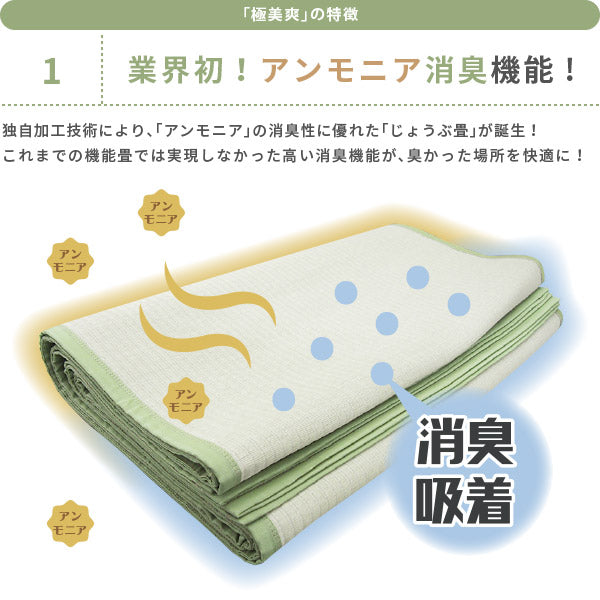 消臭機能付き 洗える防炎上敷き 極美爽 約261×261cm 【江戸間4.5畳】4.5帖 4畳半 い草風上敷き グリーンラグ 防炎ラグ 和風 和モダン 敷き詰められるラグ インテリア 畳交換 畳替え 表替え 年中 萩原 春夏秋冬 涼しい ひんやり