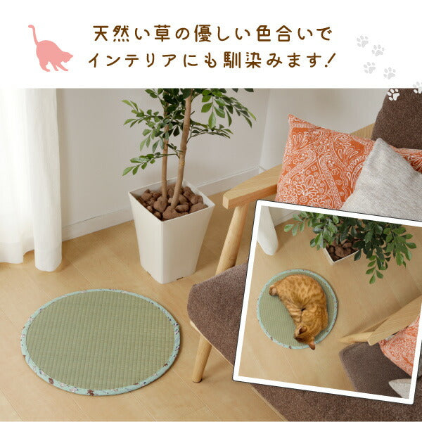 にゃんこが寄ってくる!?フシギな魅力 ねこちゃん畳2 約直径47×1.2cm い草 ネコ 猫用 クッション マット 猫転送装置 抗菌 防臭 井草 イグサ いぐさ 猫用畳 猫ちゃん畳 猫用マット 天然い草 ペット グッズ 年中 萩原 春夏秋冬 涼しい ひんやり
