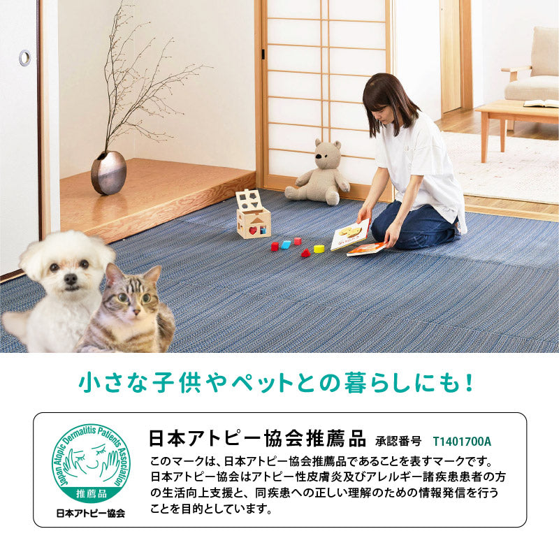 ラグ ビニール風 ゴザ ライアン 【1畳・2畳・3畳・4畳・4.5畳・6畳・8畳・10畳・12.5畳・15畳】【江戸間・本間・団地間・三六間】上敷き 畳交換 畳替え 表替え 花ござ 洗える 無地 カーペット ござ ペット い草風カーペット 畳の上に敷くもの 国産