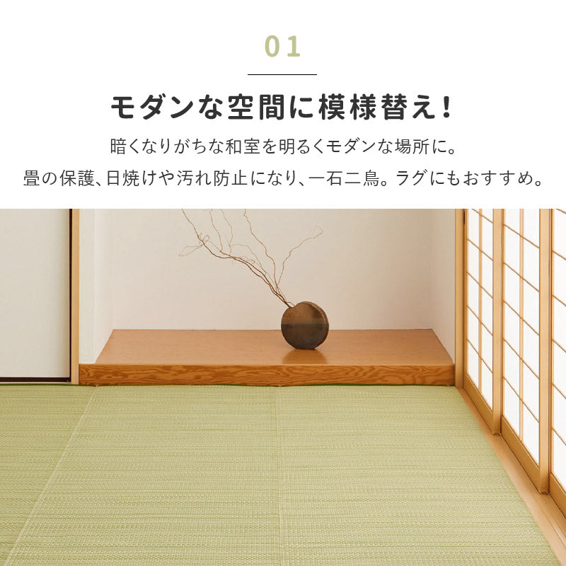 ラグ ビニール風 ゴザ ライアン 【1畳・2畳・3畳・4畳・4.5畳・6畳・8畳・10畳・12.5畳・15畳】【江戸間・本間・団地間・三六間】上敷き 畳交換 畳替え 表替え 花ござ 洗える 無地 カーペット ござ ペット い草風カーペット 畳の上に敷くもの 国産