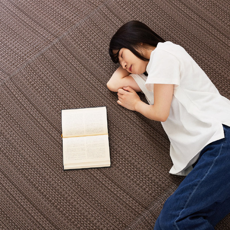 ラグ ビニール風 ゴザ ライアン 【1畳・2畳・3畳・4畳・4.5畳・6畳・8畳・10畳・12.5畳・15畳】【江戸間・本間・団地間・三六間】上敷き 畳交換 畳替え 表替え 花ござ 洗える 無地 カーペット ござ ペット い草風カーペット 畳の上に敷くもの 国産