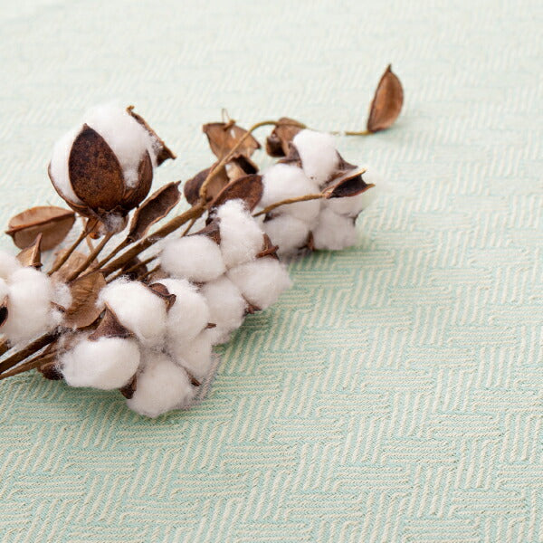 洗濯機で洗えるマット 綿100% アルト 約50×80cm インド綿 コットン100% 玄関マット 室内 屋内 ラグマット タッセル付き ナチュラル かわいい おしゃれ オールシーズン 萩原 秋冬用 涼しい