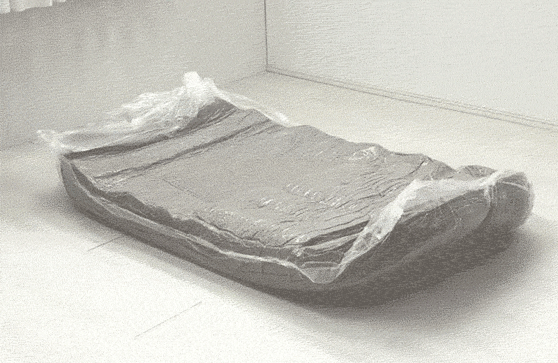 【新商品】2WAY ソファベッド フロアソファ ルメール