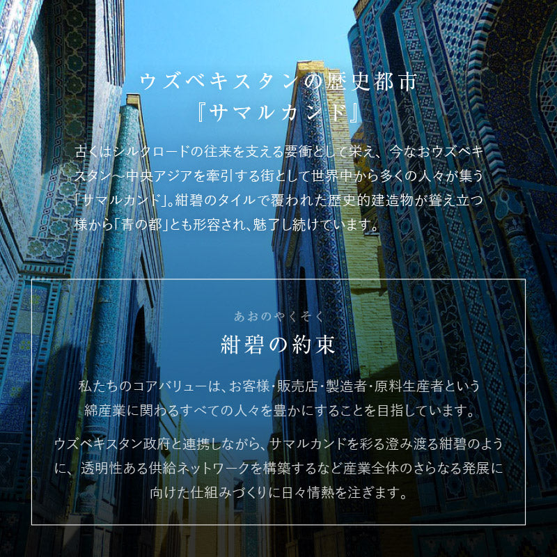 オーガニックコットンラグ 洗えるラグ サマルカンダリアコットン100%【約130×185cm/185×185cm/185×240cm】【約1.5畳/2畳/3畳】ウズベキスタン 長綿 綿100% 日本製 タフトラグ ループパイル 抗菌 無地 ナチュラルインテリア オールシーズン 春夏秋冬用