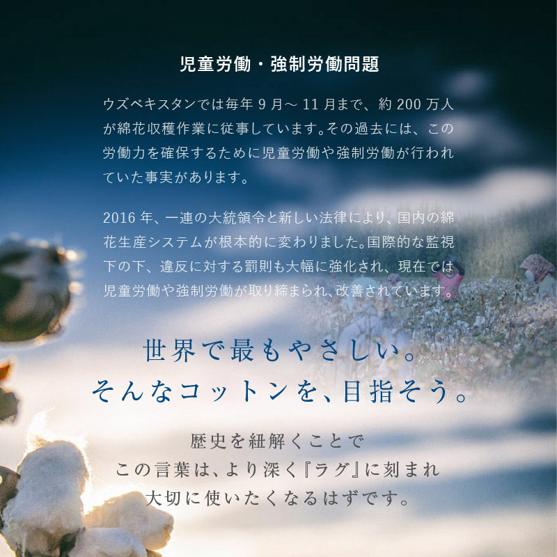 オーガニックコットンラグ 洗えるラグ サマルカンダリアコットン100%【約130×185cm/185×185cm/185×240cm】【約1.5畳/2畳/3畳】ウズベキスタン 長綿 綿100% 日本製 タフトラグ ループパイル 抗菌 無地 ナチュラルインテリア オールシーズン 春夏秋冬用