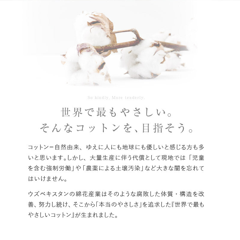 オーガニックコットンラグ 洗えるラグ サマルカンダリアコットン100%【約130×185cm/185×185cm/185×240cm】【約1.5畳/2畳/3畳】ウズベキスタン 長綿 綿100% 日本製 タフトラグ ループパイル 抗菌 無地 ナチュラルインテリア オールシーズン 春夏秋冬用