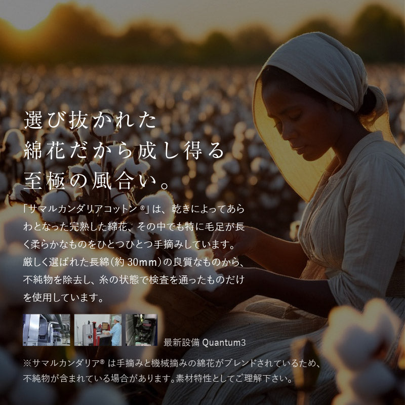 オーガニックコットンラグ 洗えるラグ サマルカンダリアコットン100%【約130×185cm/185×185cm/185×240cm】【約1.5畳/2畳/3畳】ウズベキスタン 長綿 綿100% 日本製 タフトラグ ループパイル 抗菌 無地 ナチュラルインテリア オールシーズン 春夏秋冬用