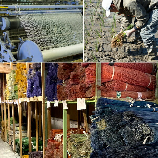 国産 い草ラグ エルモード【裏貼り】 約191×250cm【約3畳】本間3帖 滑り止め加工 抗菌 防臭ござ い草カーペット ラグマット センターラグ アクセントラグ おしゃれ 井草 年中 萩原 春夏秋冬 涼しい ひんやり