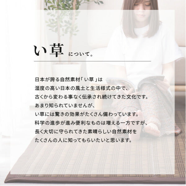 もっちり厚手 ウレタン入り い草ラグ カーペット 仙名 約180×240cm 【約3畳】 【長方形】 【裏貼有】 抗菌 防臭 い草カーペット ござ ラグマット 無地 シンプルモダン ふっくら 防音 井草 イグサ いぐさ 年中 萩原 春夏秋冬 涼しい ひんやり
