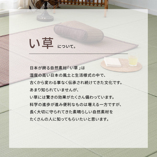 い草角型クッション シートクッション南風 約40×40cm 抗菌 防臭 ブラウン アジアン 和モダン おしゃれ クッション ポイント消化 井草 イグサ いぐさ 年中 萩原 春夏秋冬 涼しい ひんやり