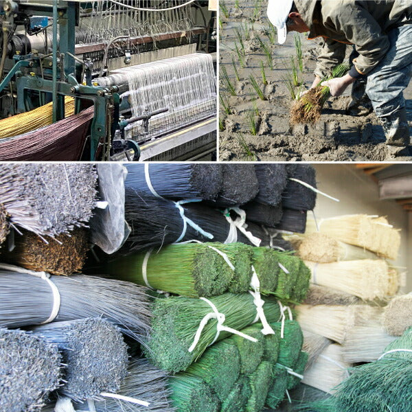 国産 い草ラグ 右京 約191×250cm【約3畳】 本間3帖 抗菌 防臭ござ い草カーペット ラグマット センターラグ アクセントラグ おしゃれ 井草 年中 萩原 春夏秋冬 涼しい ひんやり