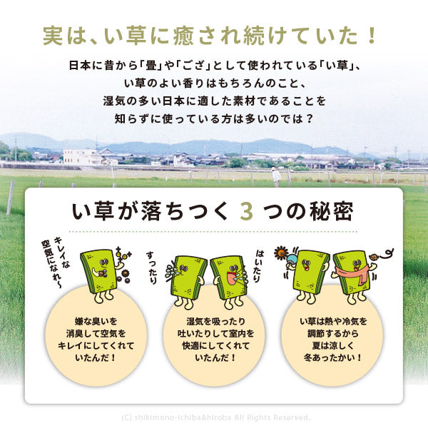 花柄 国産い草ラグ エンペラー 約250×250cm 【約4.5畳弱】 【正方形】【裏貼有】 カーペット い草カーペット 国産ラグ ござ グリーン 花柄 井草 イグサ いぐさ 年中 萩原 春夏秋冬 涼しい ひんやり