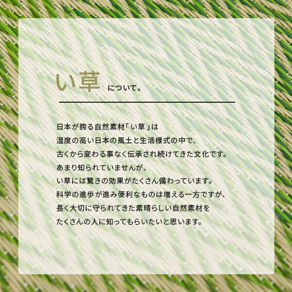 掘りごたつ専用! い草ラグ ラグ カーペット 約191×250cm 【約3畳】 【裏貼り】 抗カビ 消臭 3帖 イ草 畳 ござ カーペット おしゃれ 市松模様 長方形 イグサ いぐさ 井草 年中 萩原 春夏秋冬 涼しい ひんやり 掘りごたつ こたつ コタツ