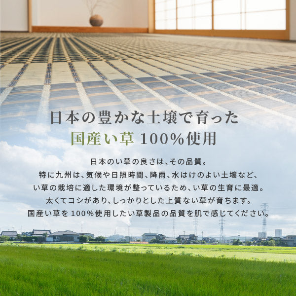 国産 い草ラグ 栄山【裏貼り】 約191×250cm【約3畳】本間3帖 滑り止め加工 抗菌 防臭ござ い草カーペット ラグマット センターラグ アクセントラグ おしゃれ 井草 年中 萩原 春夏秋冬 涼しい ひんやり