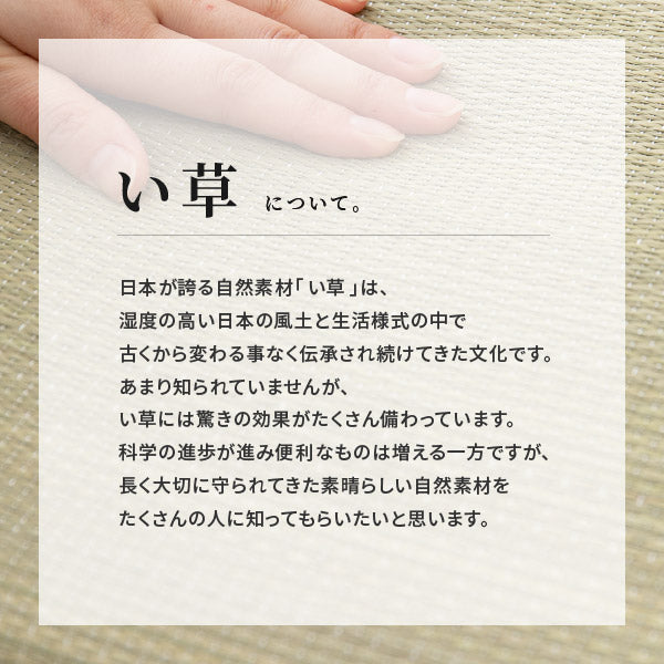 スリッパ い草 モノネコ Mサイズ 〜26cmまで対応 国産 日本製 猫グッズ ユニセックス 女性 ルームシューズ レディース ギフト プレゼント かわいい いぐさ 畳 室内 敬老の日 誕生日 年中 萩原 春夏秋冬 涼しい ひんやり