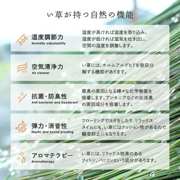 い草ラグ おしゃれ 国産 凪 (なぎ) 191×191cm 【2.5畳】 【裏貼り】 せとのとシリーズ イ草 ござ カーペット 2畳 日本製 グラデーション ブルー ブラウン 正方形 袋織 三重織 純国産 滑り止め付き イグサ いぐさ 井草 年中 萩原 春夏秋冬 涼しい ひんやり