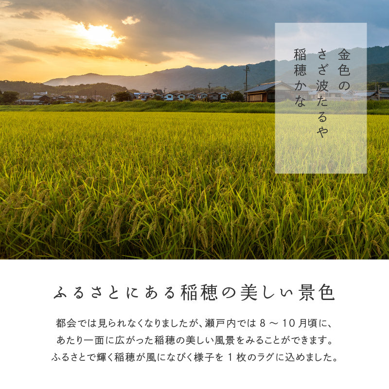 い草ラグ おしゃれ 国産 穂波 (ほなみ) 191×191cm 【2.5畳】 【裏貼り】 せとのとシリーズ イ草 ござ カーペット 2畳 日本製 無地柄 正方形 袋織 三重織 純国産 滑り止め付き イグサ いぐさ 井草 年中 萩原 春夏秋冬 涼しい ひんやり