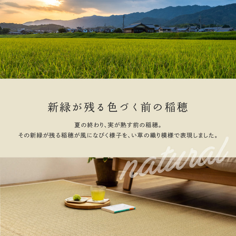 い草ラグ おしゃれ 国産 穂波 (ほなみ) 191×191cm 【2.5畳】 【裏貼り】 せとのとシリーズ イ草 ござ カーペット 2畳 日本製 無地柄 正方形 袋織 三重織 純国産 滑り止め付き イグサ いぐさ 井草 年中 萩原 春夏秋冬 涼しい ひんやり