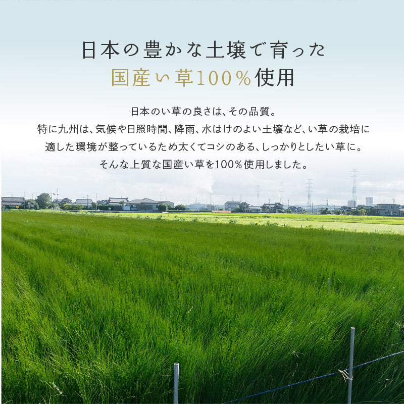 い草ラグ おしゃれ 国産 穂波 (ほなみ) 191×191cm 【2.5畳】 【裏貼り】 せとのとシリーズ イ草 ござ カーペット 2畳 日本製 無地柄 正方形 袋織 三重織 純国産 滑り止め付き イグサ いぐさ 井草 年中 萩原 春夏秋冬 涼しい ひんやり