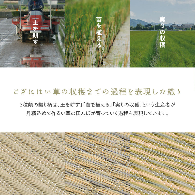 【2点セット】い草枕とござのセット 倉敷帆布 おしゃれ 国産 平枕 約32×22×10cm ござ 80×160cm 【1畳】 【裏貼り】(くらのと)せとのとシリーズ ソフティル お昼寝セット 日本製 無地 ブルー ベージュ ギフト プレゼント イグサ いぐさ 井草 年中 萩原 春夏秋冬 涼しい