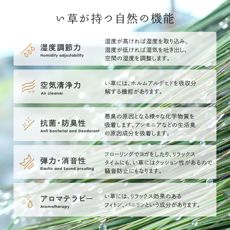 い草カーペット おしゃれ 国産 倉ノ戸 (くらのと) 【2畳・3畳・4.5畳・6畳・8畳】【江戸間・本間】帖 せとのとシリーズ イ草 ござ カーペット日本製 市松模様 畳の上に敷くもの 袋織 三重織 純国産 イグサ いぐさ 井草 春夏秋冬用