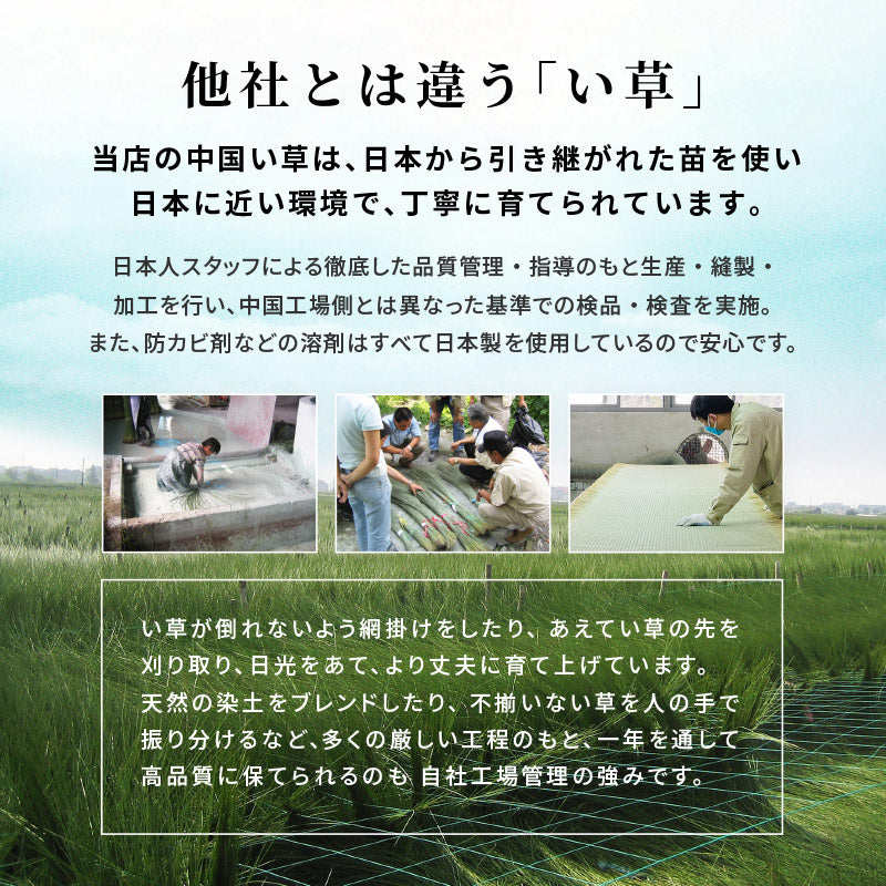 い草上敷き 谷川 約352×352cm 【江戸間8畳】8帖 引目織り 丈夫 長持ち 和風 和室 無地 抗カビ 消臭 ござ い草カーペット ラグ 畳の上に敷くもの 和風敷物 井草 イグサ いぐさ 関東間 田舎間 五八間 58間 畳交換 畳替え 表替え 掃除