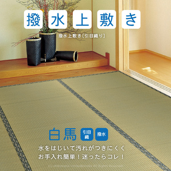 い草上敷き 白馬 約277×277cm 【六一間4.5畳】 4畳半 4.5帖 引目織り 撥水 和風 和室 無地 抗菌 防臭 ござ い草カーペット 撥水ラグ 畳の上に敷くもの 和風敷物 井草 イグサ いぐさ 広島間 安芸間 61間 畳交換 畳替え 表替え