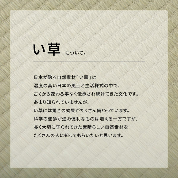 い草上敷き 白馬 約277×370cm 【六一間6畳】6帖 引目織り 撥水 和風 和室 無地 抗菌 防臭 ござ い草カーペット 撥水ラグ 畳の上に敷くもの 和風敷物 井草 イグサ いぐさ 広島間 安芸間 61間 畳交換 畳替え 表替え 掃除しやすい 年中 萩原 春夏秋冬 涼しい ひんやり