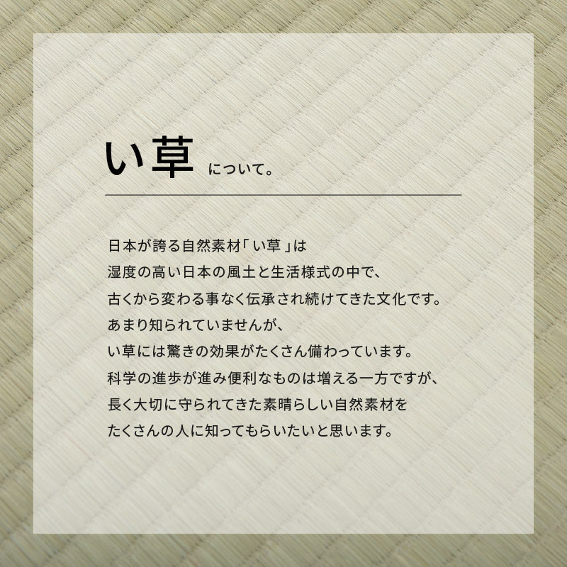 い草上敷き お手頃上敷き 柳川【1畳･2畳･3畳･4畳･4.5畳･6畳･8畳･10畳】【江戸間･本間･団地間･三六間】帖物 リーズナブル 和室 ござ い草カーペット 敷物 ゴザ 傷防止 日焼け防止 畳の保護 畳の上に敷くもの 畳交換 畳替え 表替え