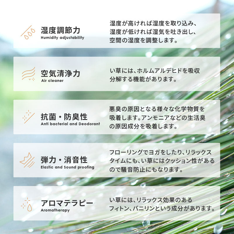 い草上敷き お手頃上敷き 柳川【1畳･2畳･3畳･4畳･4.5畳･6畳･8畳･10畳】【江戸間･本間･団地間･三六間】帖物 リーズナブル 和室 ござ い草カーペット 敷物 ゴザ 傷防止 日焼け防止 畳の保護 畳の上に敷くもの 畳交換 畳替え 表替え