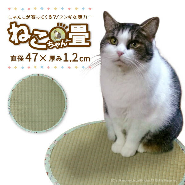 にゃんこが寄ってくる！？フシギな魅力 ねこちゃん畳2 約直径47×1.2cm い草 ネコ 猫用 クッション マット 猫転送装置 抗菌 防臭 井草 イグサ いぐさ 猫用畳 猫ちゃん畳 猫用マット 天然い草 ペット グッズ 年中 萩原 春夏秋冬 涼しい ひんやり