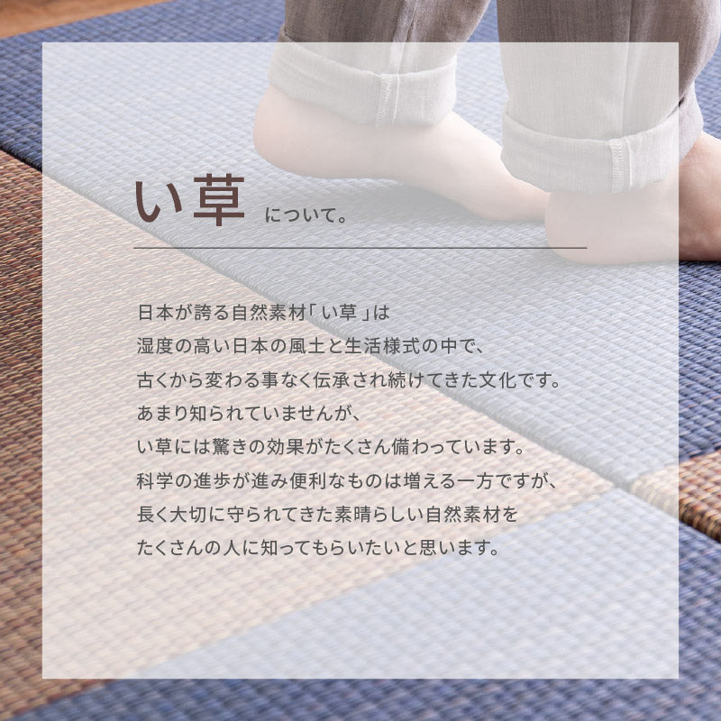[2サイズ][1～12枚] 縁なし 置き畳 滑り止め付き 琉球畳風 南風（なんぷう）