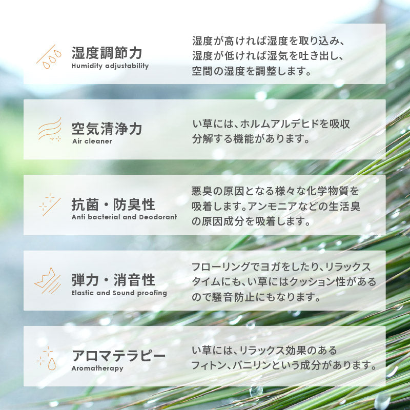 [2サイズ][1～12枚] 縁なし 置き畳 滑り止め付き 琉球畳風 南風（なんぷう）