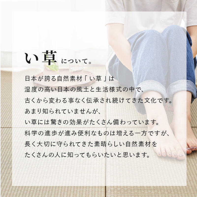 [大/小][単品/セット] 縁なし すき間のできにくい置き畳 フローリングに置く畳 滑り止め付き 琉球畳風 倉敷II