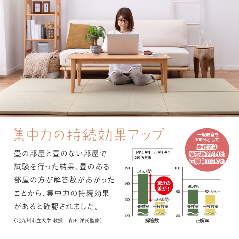 [大/小][単品/セット] 縁なし すき間のできにくい置き畳 フローリングに置く畳 滑り止め付き 琉球畳風 倉敷II