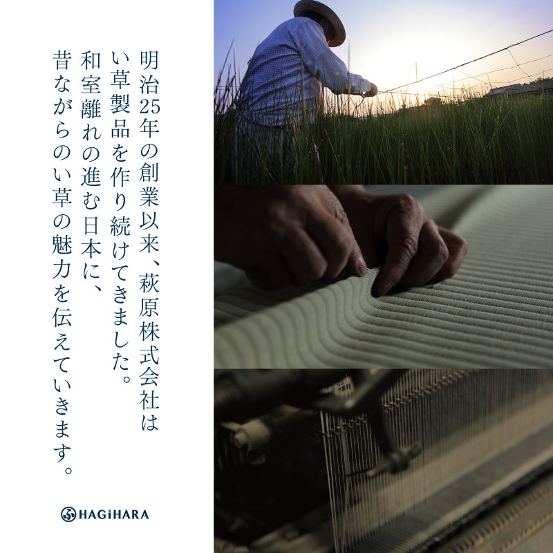 【新商品】[82×82×2.5][単品/セット] 縁なし い草置き畳 フローリングに置く畳 滑り止め付き 凛 りん