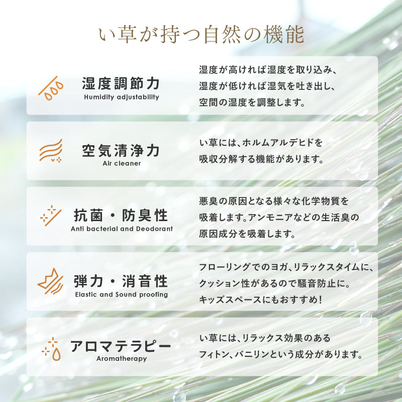 【新商品】[82×82×2.5][単品/セット] 縁なし い草置き畳 フローリングに置く畳 滑り止め付き 凛 りん