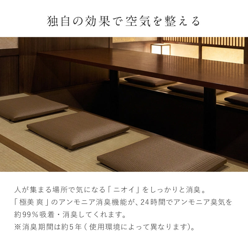 【新商品】[39×39] 水拭きできる消臭機能付き座布団 和モダン 畳クッション 日本製 楽座（らくざ）