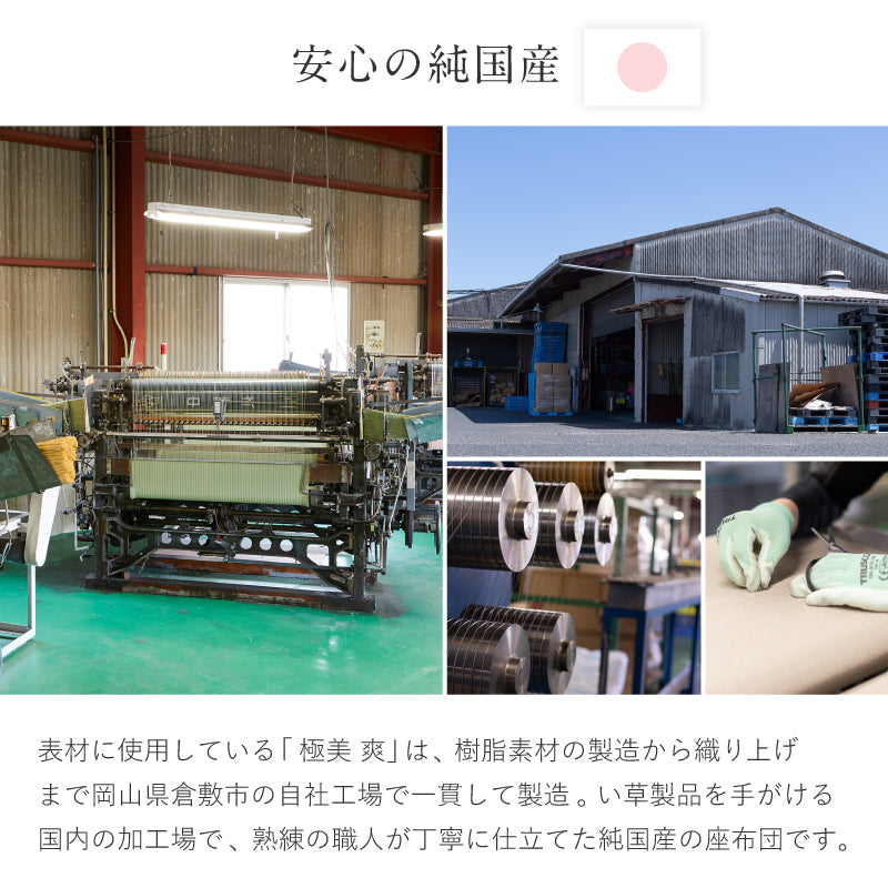 【新商品】[39×39] 水拭きできる消臭機能付き座布団 和モダン 畳クッション 日本製 楽座（らくざ）