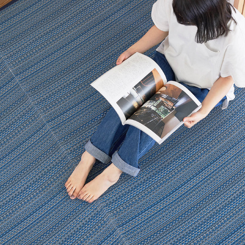 ラグ ビニール風 ゴザ【1畳・2畳・3畳・4畳・4.5畳・6畳・8畳・10畳