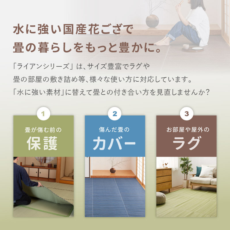 ラグ ビニール風 ゴザ【1畳・2畳・3畳・4畳・4.5畳・6畳・8畳・10畳