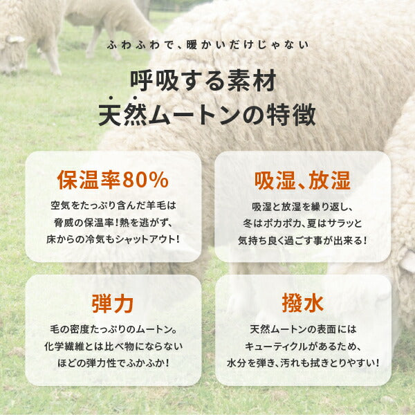 ムートンクッション 円座クッション 円座 40cm丸 痔 クッション