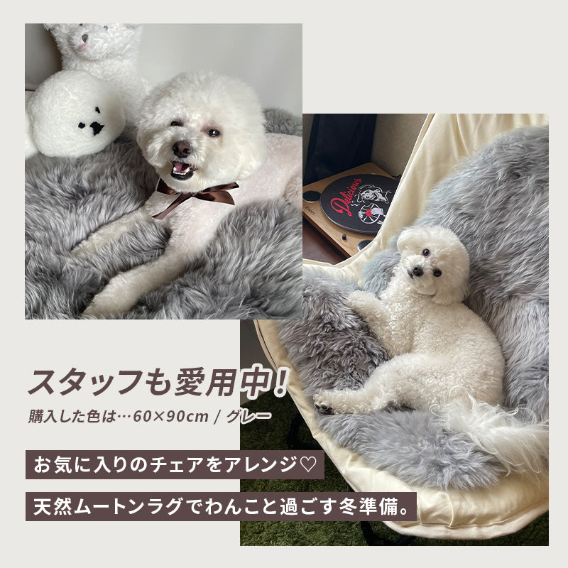 [4サイズ] ニュージーランド産天然ムートンラグ