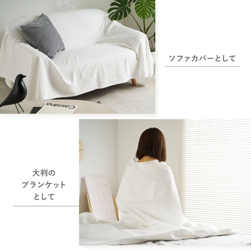 洗える タオルケット 肌掛け布団 綿100％ ソリッド 毛布 大判