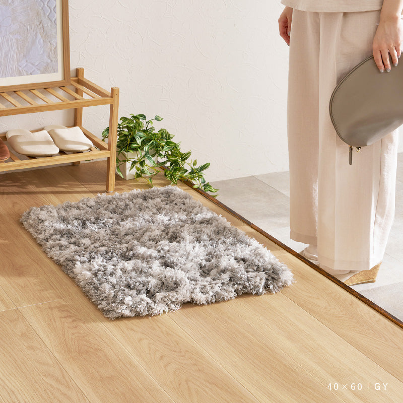 【新商品】[40×60] 洗える 玄関マット シャギーマット リレイア