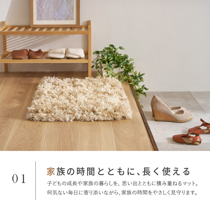 【新商品】[40×60] 洗える 玄関マット シャギーマット リレイア